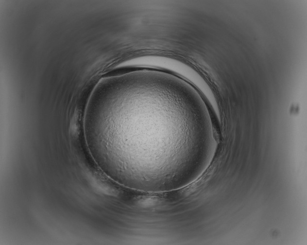 X0000096970074200802151317