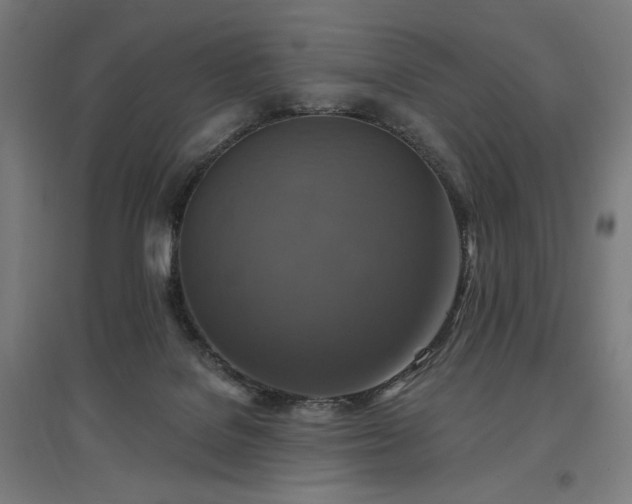 X0000096970076200802151317