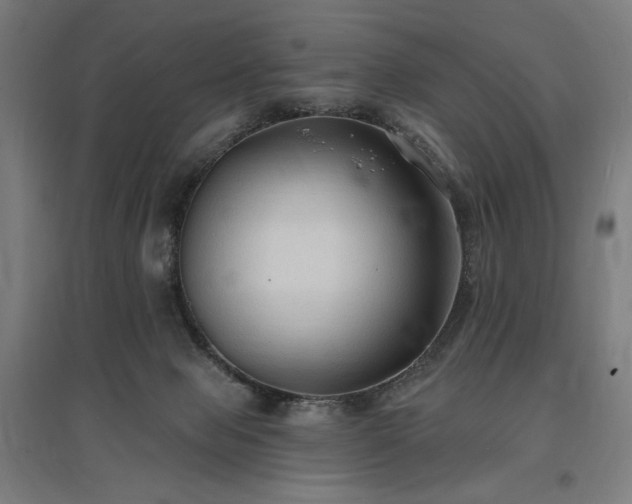 X0000096970077200802151317