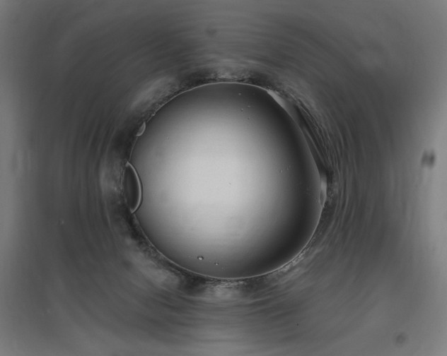 X0000096970078200802151317