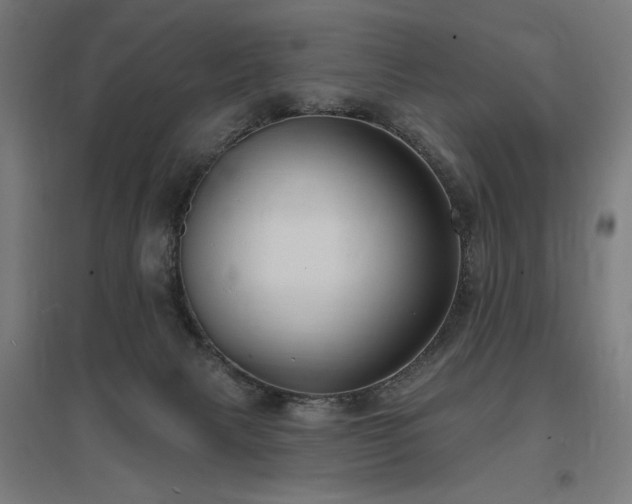 X0000096970079200802151317