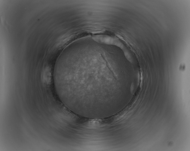 X0000096970080200802151317