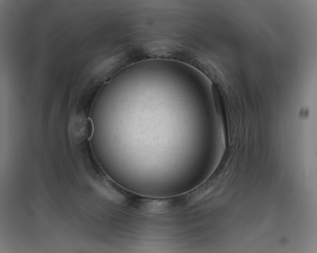 X0000096970081200802151317