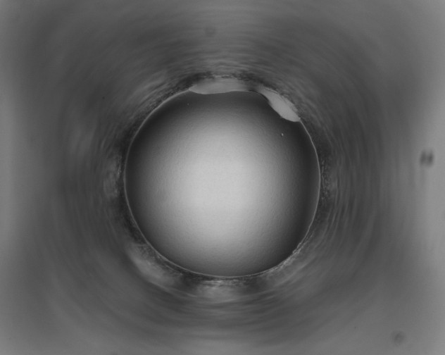 X0000096970082200802151317