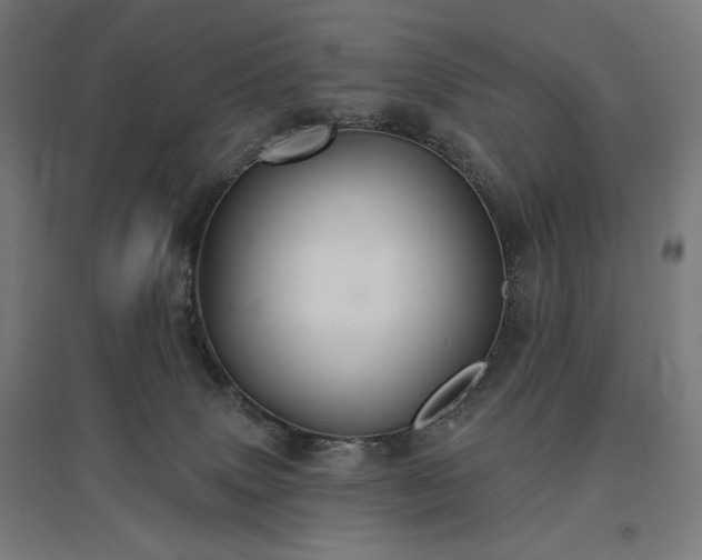 X0000096970083200802151317