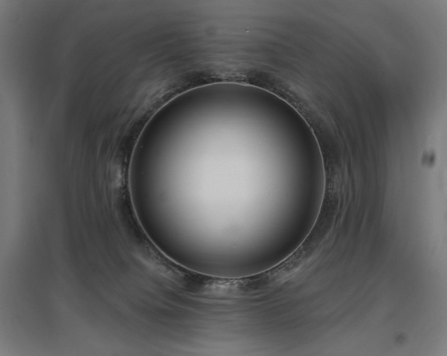 X0000096970084200802151317