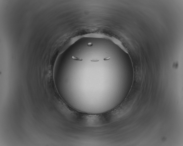 X0000096970085200802151317