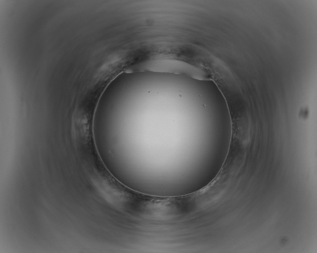 X0000096970086200802151317