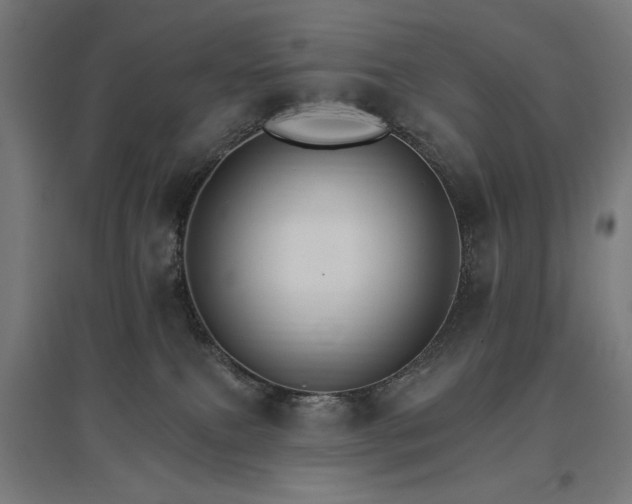 X0000096970087200802151317