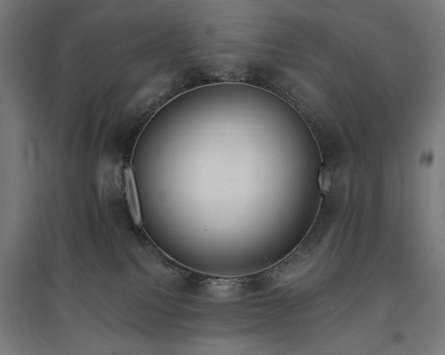 X0000096970088200802151317