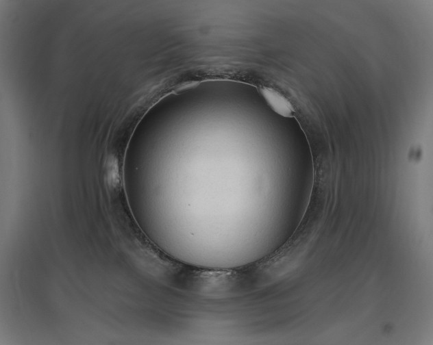 X0000096970089200802151317