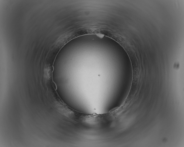 X0000096970090200802151317