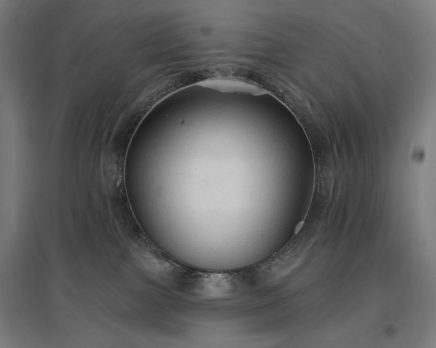 X0000096970091200802151317