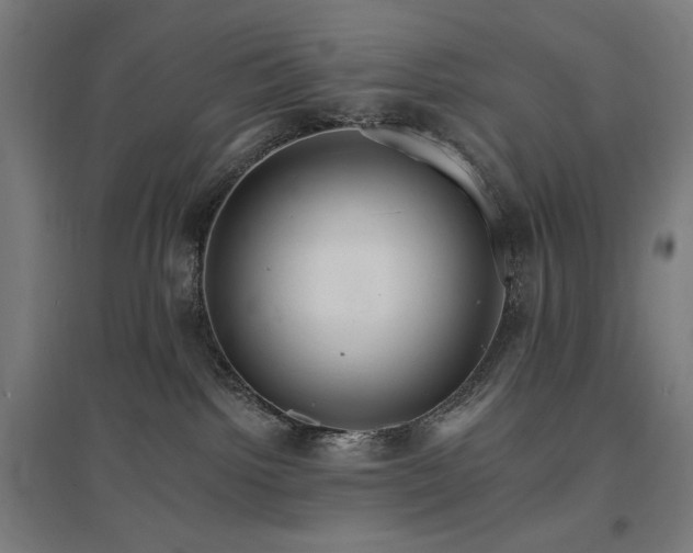 X0000096970092200802151317