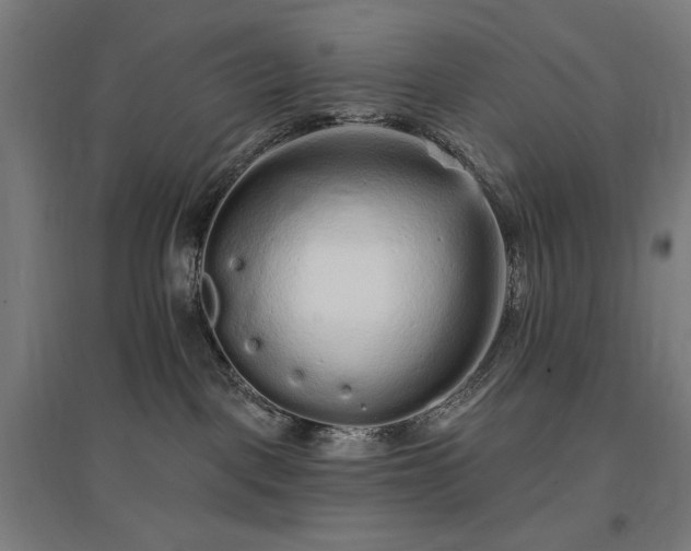 X0000096970093200802151317