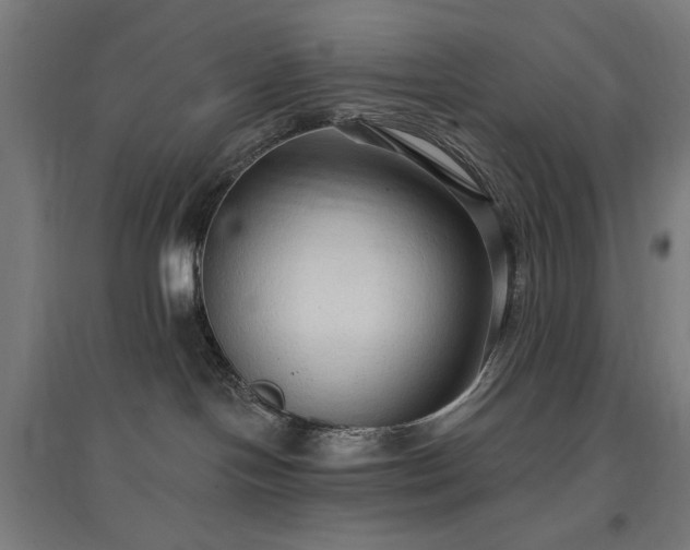 X0000096970094200802151317