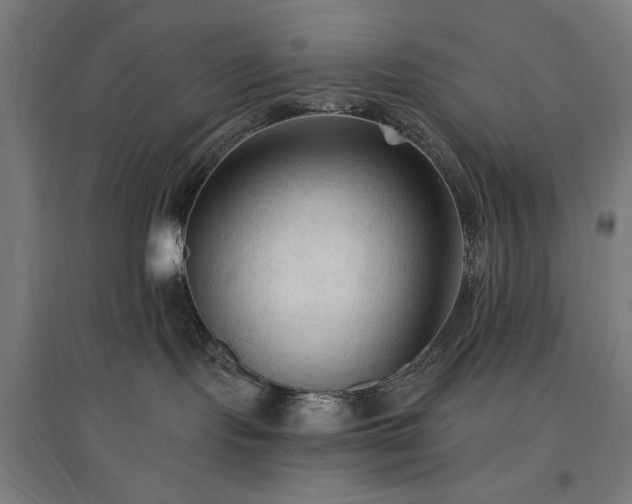 X0000096970095200802151318