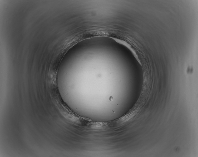 X0000096970096200802151318