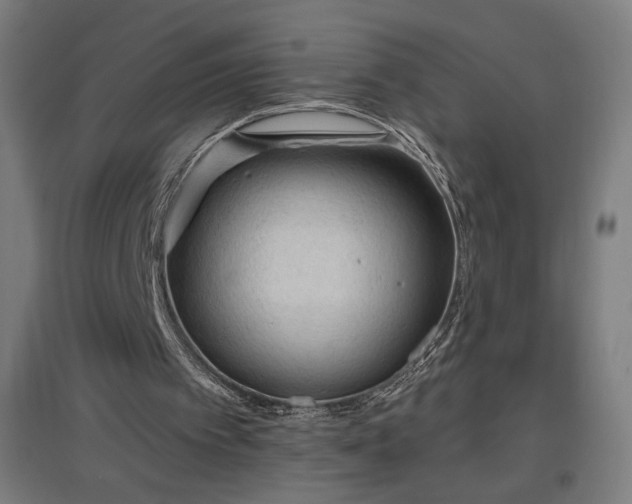 X0000096970097200802151317