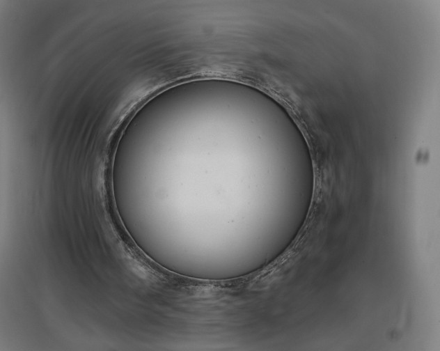 X0000096970098200802151317