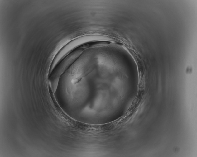 X0000096970099200802151317