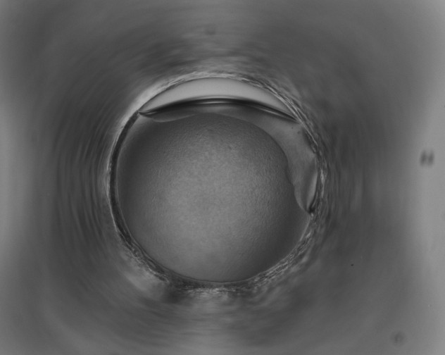 X0000096970100200802151317