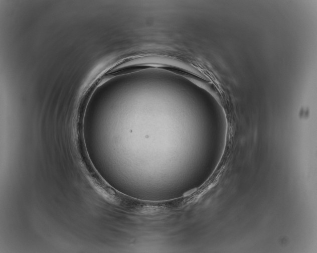 X0000096970101200802151317