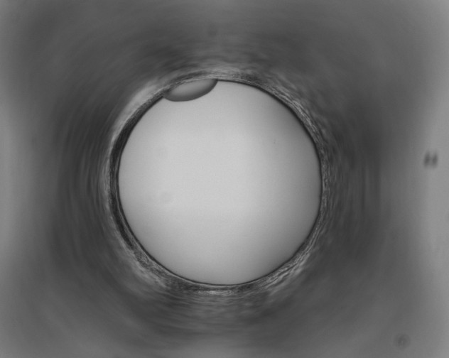 X0000096970102200802151317