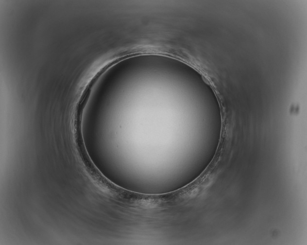 X0000096970103200802151317