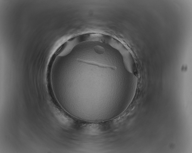 X0000096970104200802151317