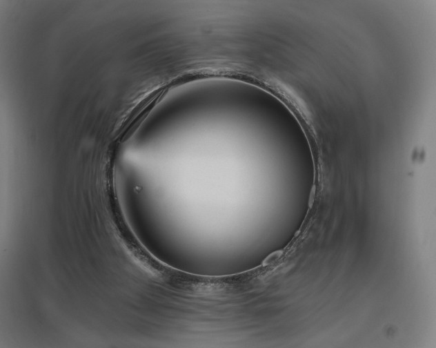 X0000096970105200802151317