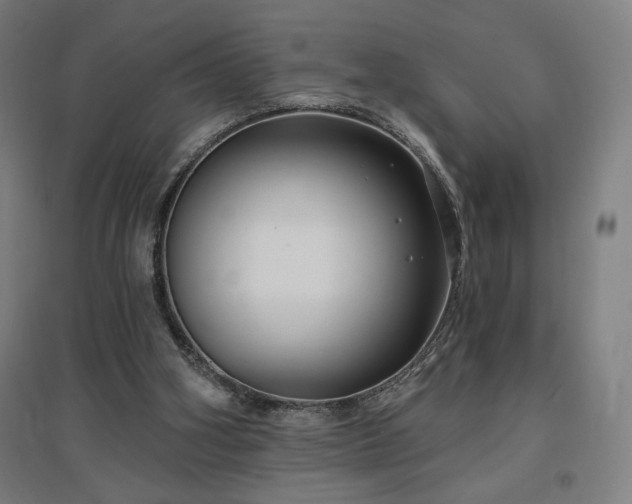 X0000096970106200802151317