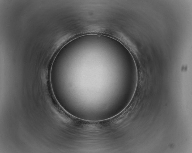 X0000096970107200802151317