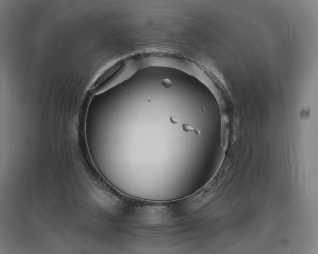 X0000096970108200802151317