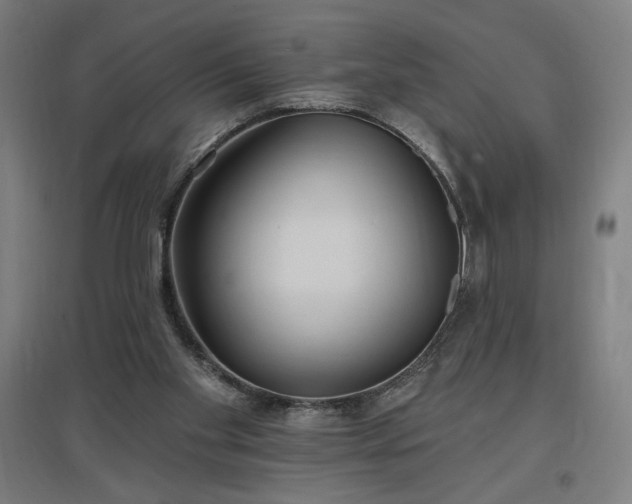 X0000096970109200802151317