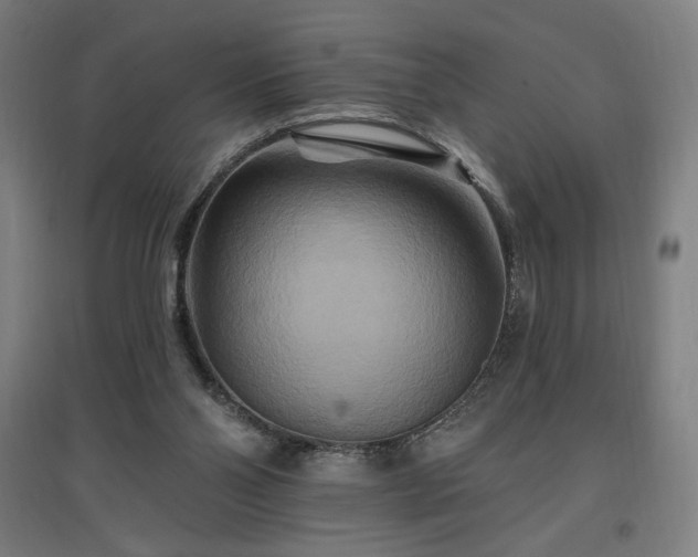 X0000096970110200802151317