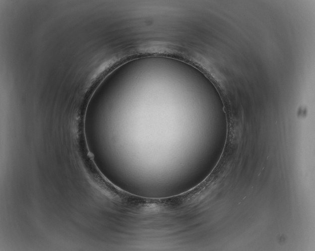 X0000096970111200802151317