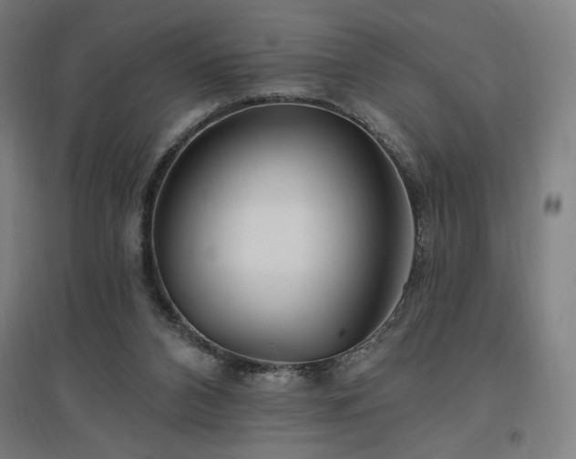 X0000096970112200802151317