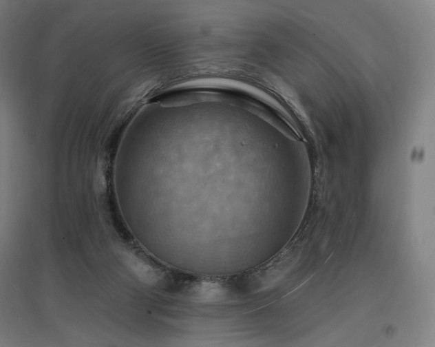 X0000096970114200802151317