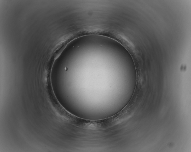 X0000096970115200802151317