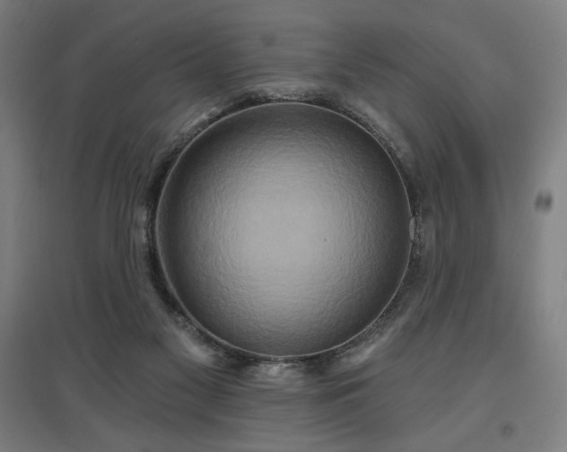 X0000096970117200802151317