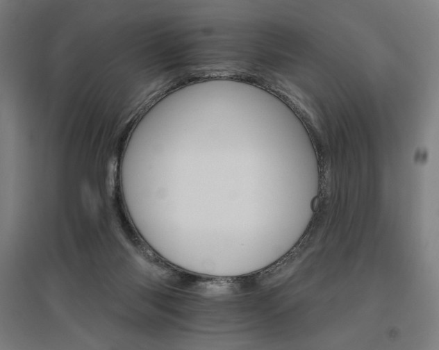 X0000096970118200802151317