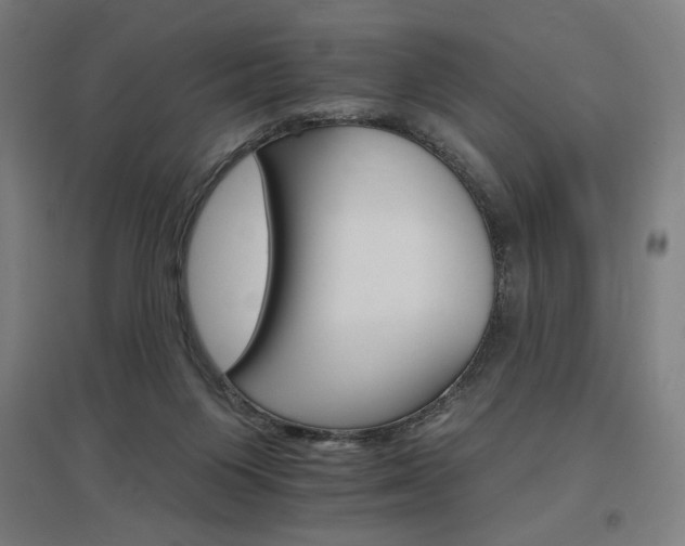 X0000096970119200802151317