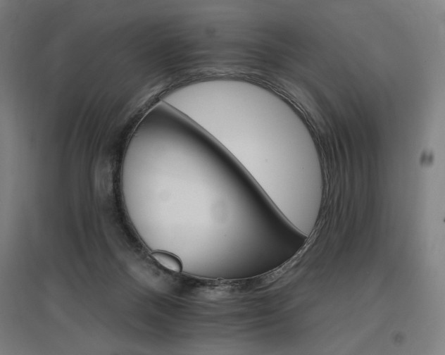 X0000096970120200802151317