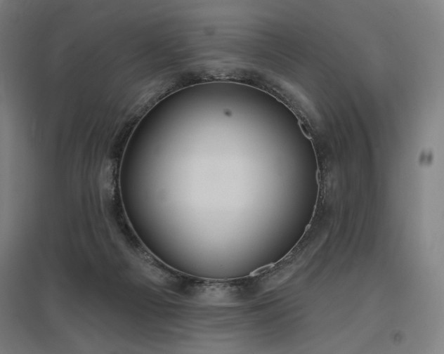 X0000096970121200802151317