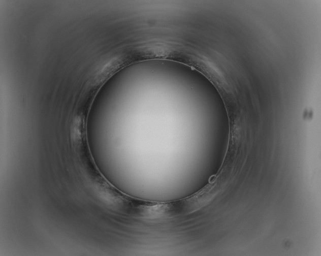 X0000096970122200802151317