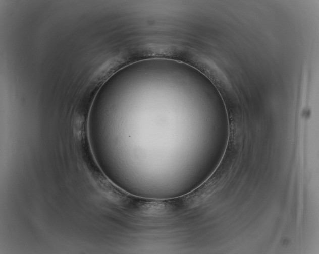 X0000096970123200802151317