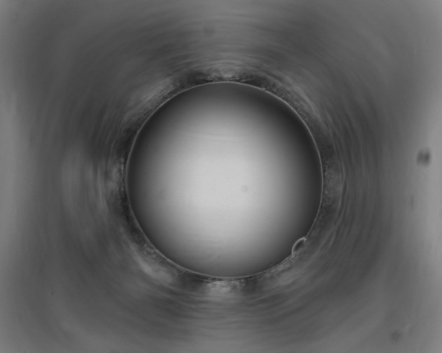 X0000096970126200802151316