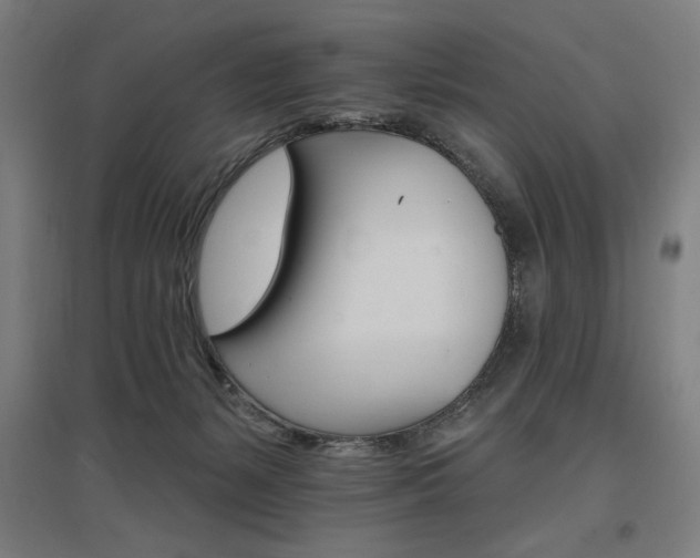 X0000096970127200802151316