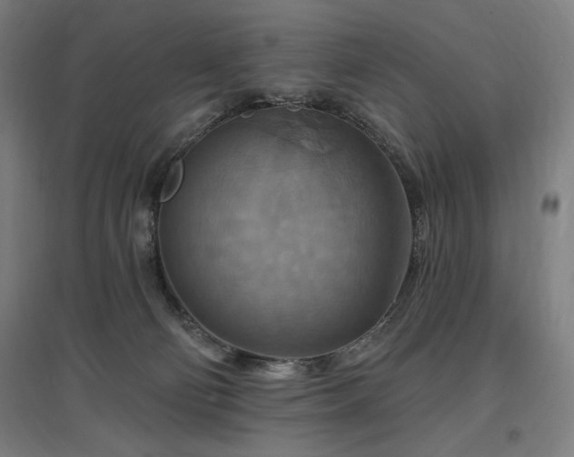 X0000096970130200802151316